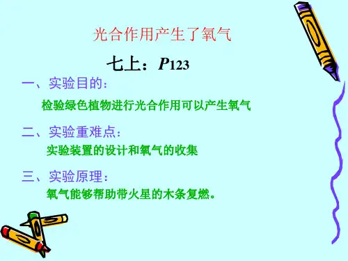 光合作用产生了氧气