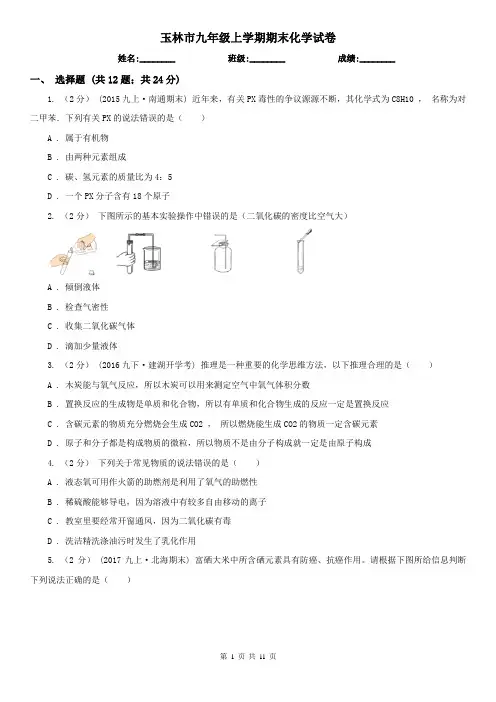 玉林市九年级上学期期末化学试卷 