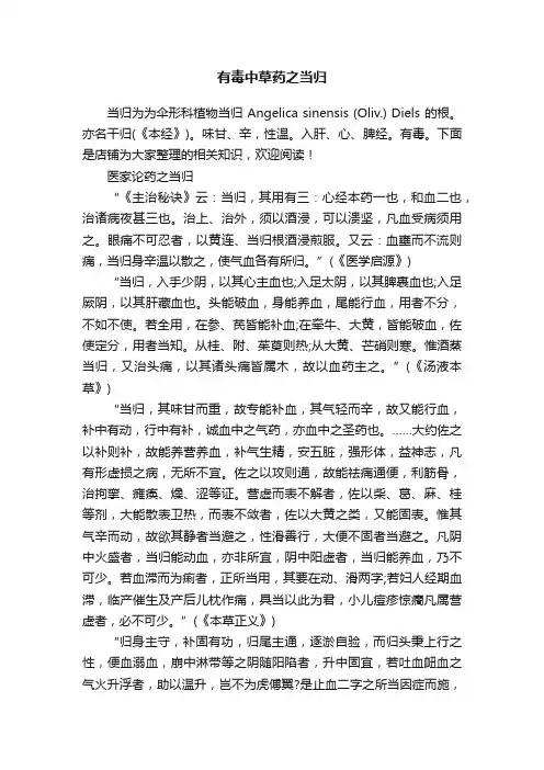 有毒中草药之当归