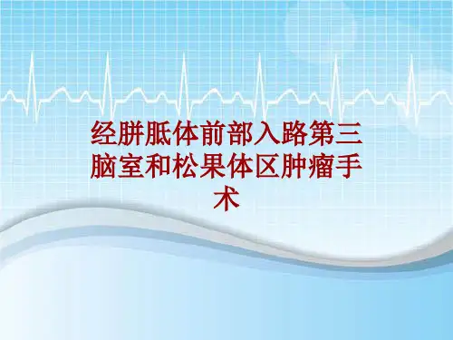 外科手术教学资料：经胼胝体前部入路第三脑室和松果体区肿瘤手术讲解模板