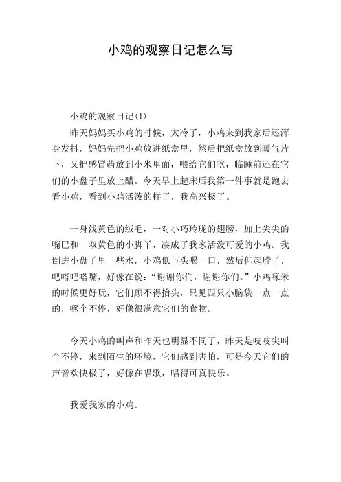 小鸡的观察日记怎么写