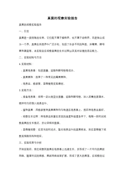 真菌的观察实验报告