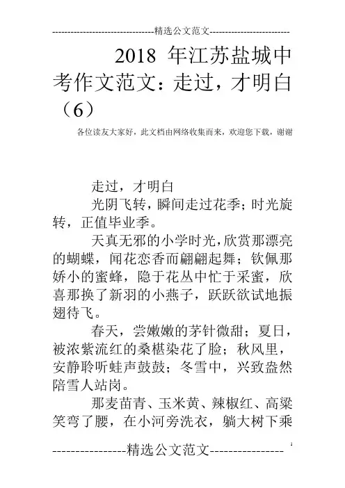 2018年江苏盐城中考作文范文：走过,才明白(6)