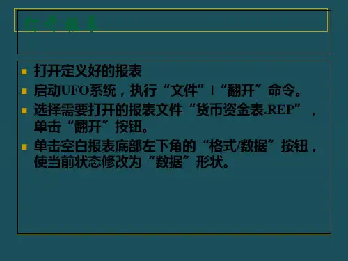 02UFO报表管理ppt课件