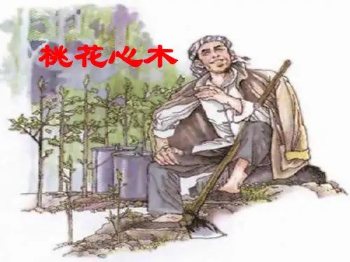 3.桃花心木教学[1]PPT课件