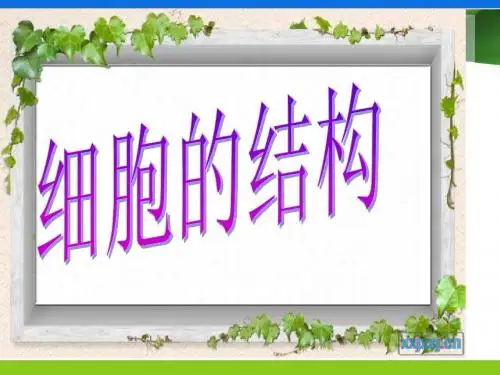 细胞的结构