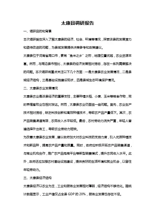 太康县调研报告
