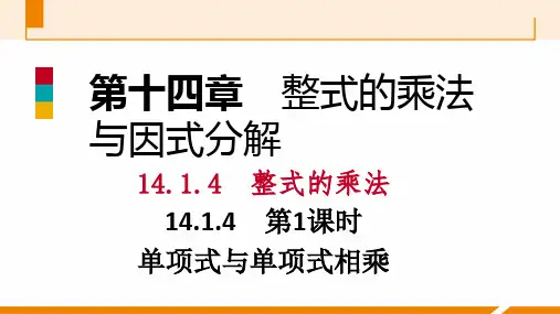14.1.4整式的乘法1