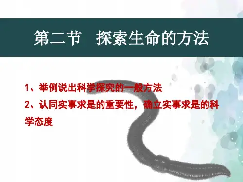 探索生命的方法ppt