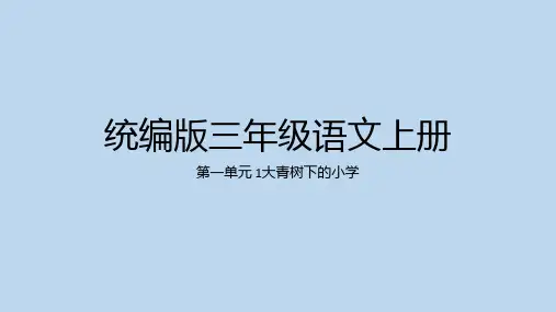 大青树下的小学ppt课件