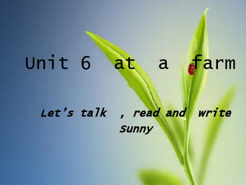 pep小学英语四年级下册unit6 let's talk