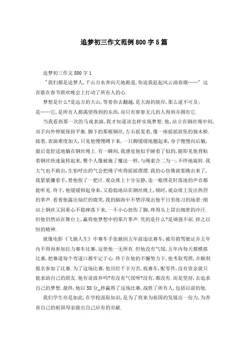 追梦初三作文范例800字5篇