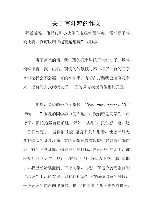 关于写斗鸡的作文