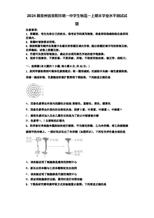 2024届贵州省贵阳市第一中学生物高一上期末学业水平测试试题含解析