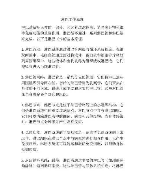 淋巴工作原理