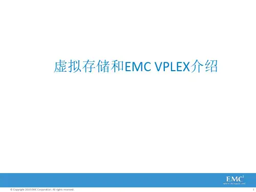 VPLEX介绍