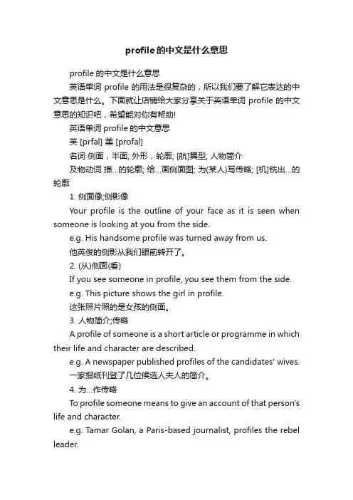 profile的中文是什么意思