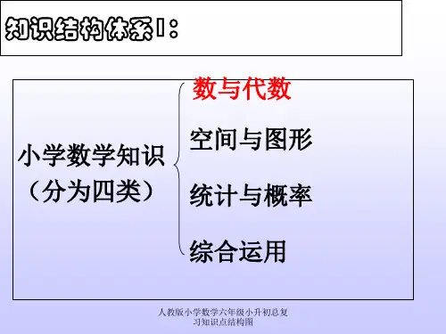 人教版小学数学六年级小升初总复习知识点结构图