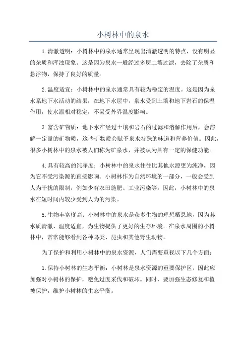 小树林中的泉水