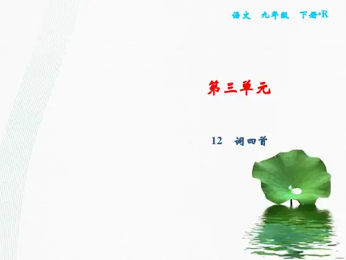 最新部编版九年级语文下册习题：第3单元 12 词四首(共20张PPT)