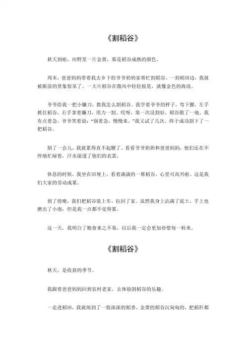 割稻谷作文600字高级作文