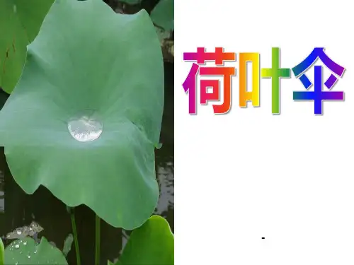 202X春冀教版语文一下《荷叶伞》ppt课件
