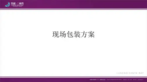 现场包装方案