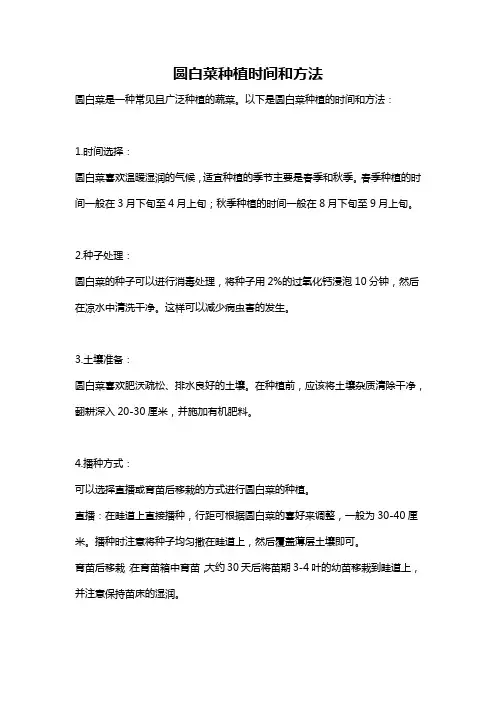 圆白菜种植时间和方法