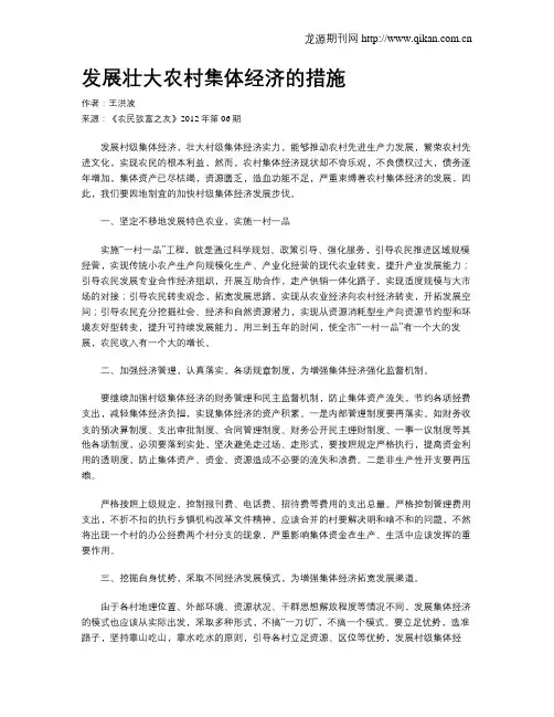 发展壮大农村集体经济的措施