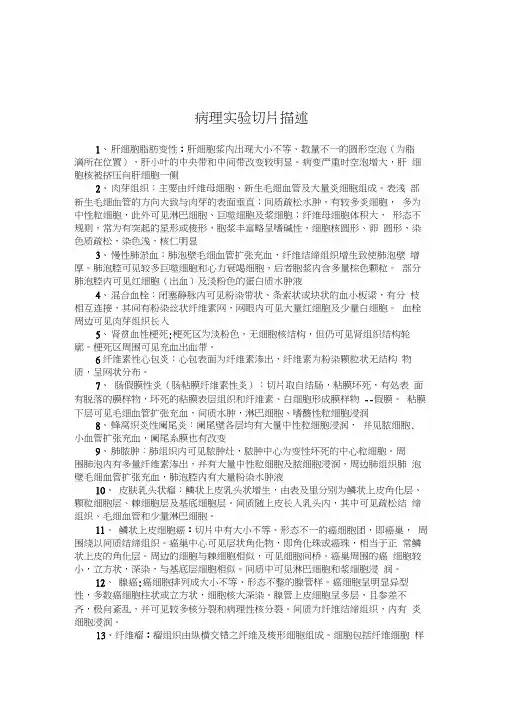 病理实验切片描述(书版)