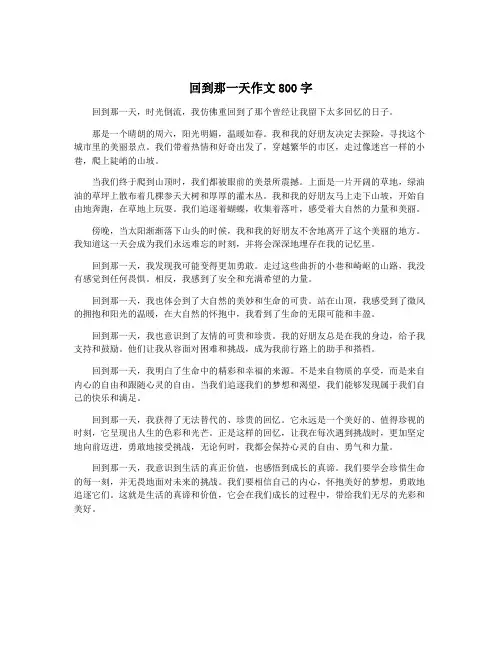 回到那一天作文800字