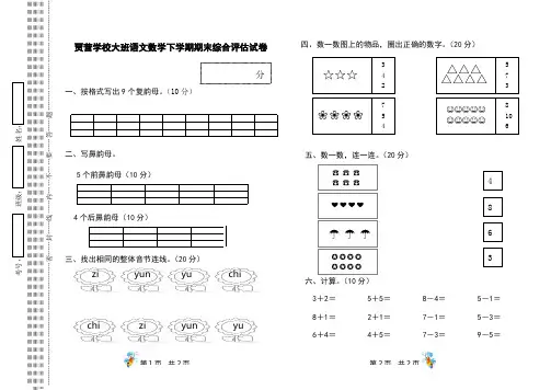 学前大班语文数学综合期末试卷