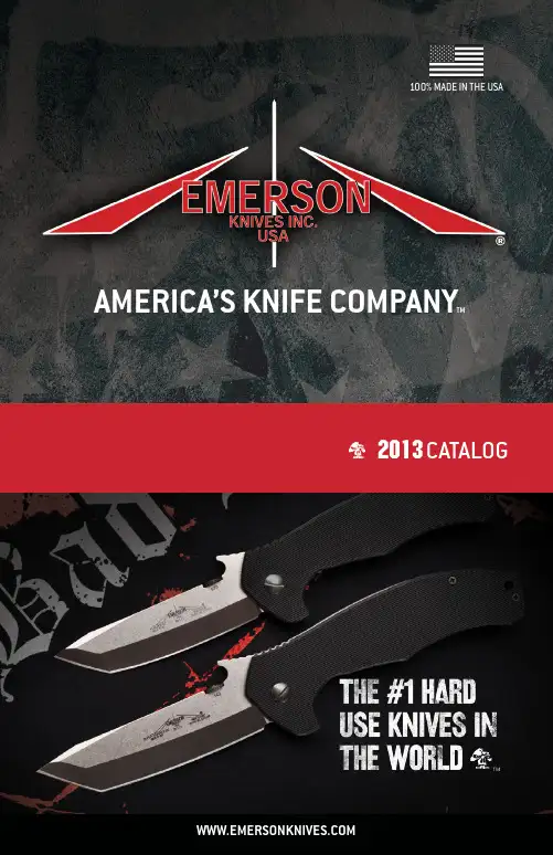 EMERSON2013产品宣传彩页