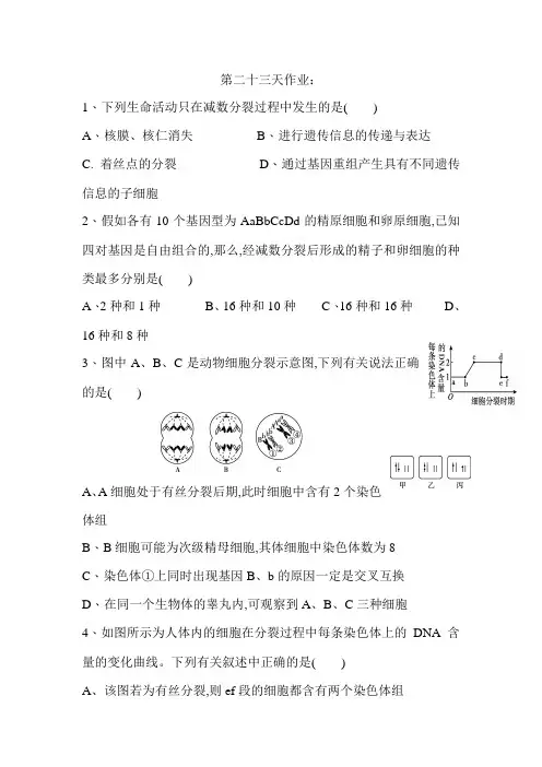 辽宁省沈阳市东北育才学校2018-2019学年高二生物暑假作业：第二十三天作业 Word版含答案