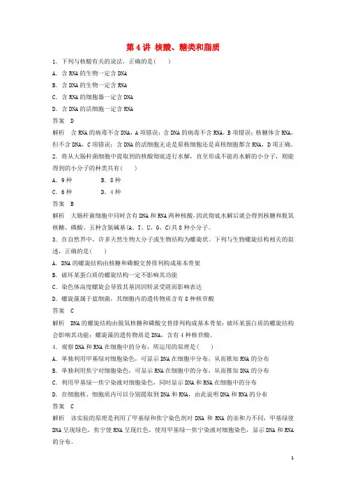 新高考生物一轮复习第一单元认识细胞与细胞的化学组成第4讲核酸、糖类和脂质练习(含解析)北师大版