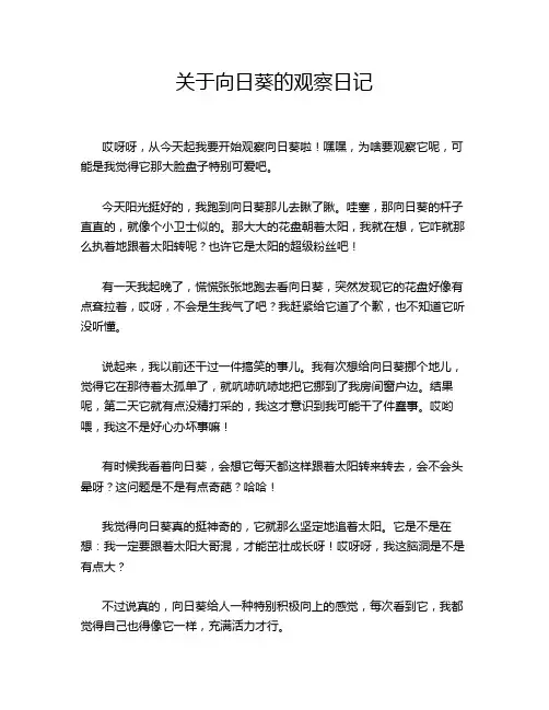 关于向日葵的观察日记