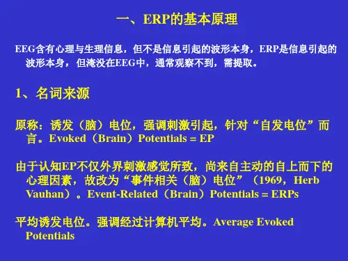ERP基本原理及其在认知神经科学中的应用
