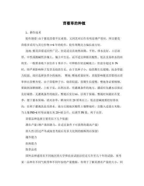苜蓿草的种植