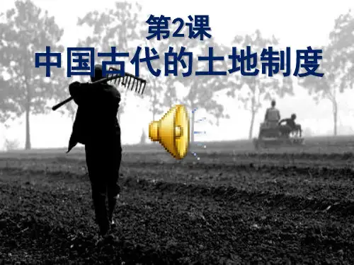 202中国古代的土地制度