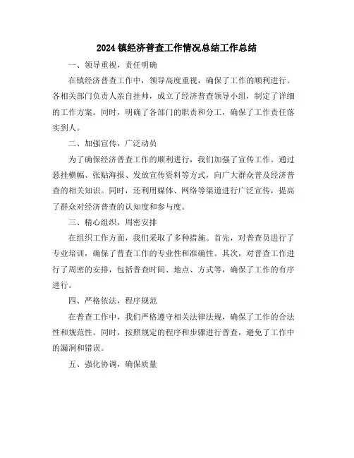 2024镇经济普查工作情况总结工作总结
