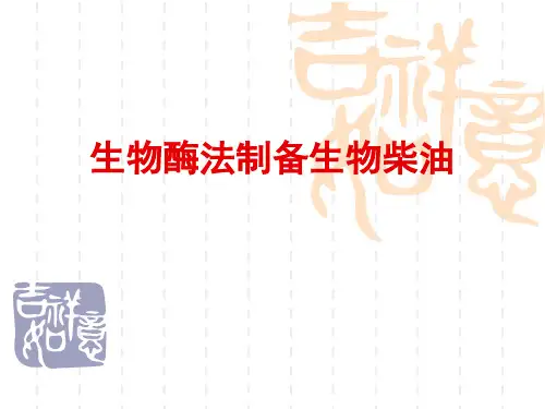 生物酶法制备生物柴油