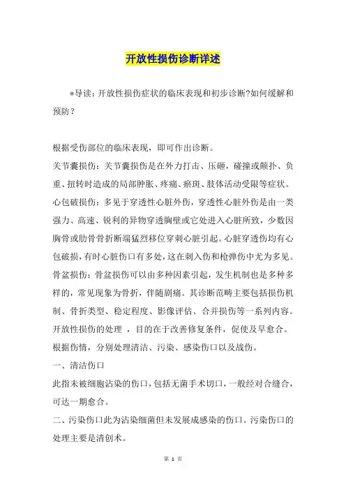 开放性损伤诊断详述