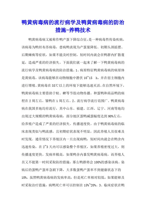 鸭黄病毒病的流行病学及鸭黄病毒病的防治措施 - 养鸭技术