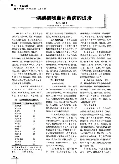 一例副猪嗜血杆菌病的诊治