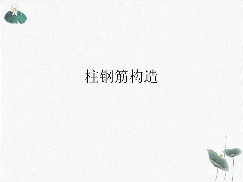 柱钢筋构造PPT.