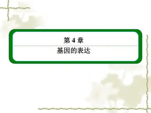 人教版生物必修二：4-1《基因的表达》ppt课件