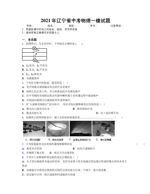 2021年辽宁省中考物理一模试题附解析