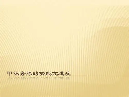 甲状旁腺的功能 ppt课件