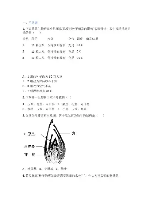 人教版生物 七年级上册 第二章 被子植物的一生 课后练习题