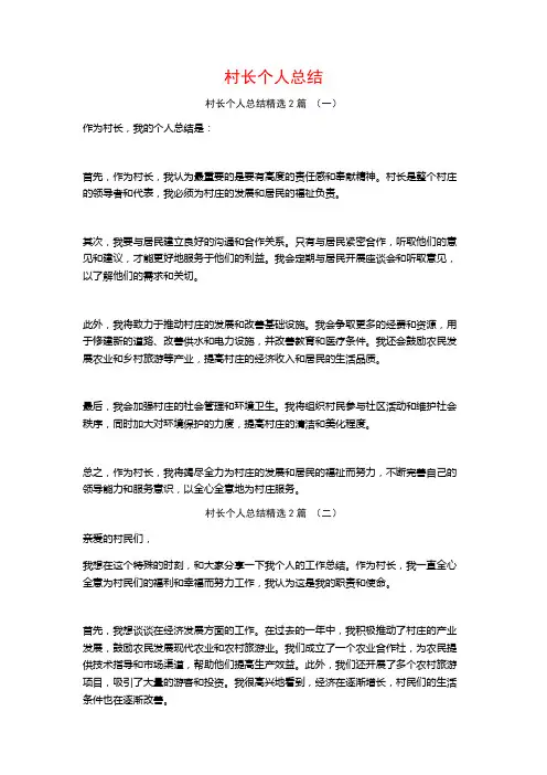 村长个人总结2篇